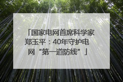 国家电网首席科学家郑玉平：40年守护电网“第一道防线”