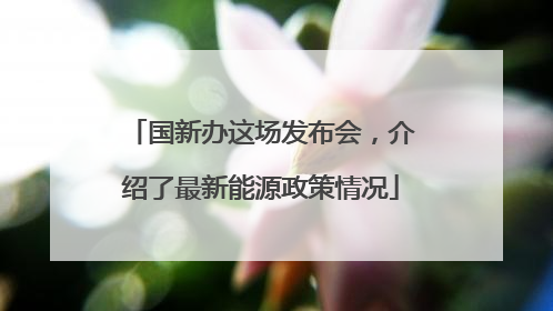 国新办这场发布会，介绍了最新能源政策情况