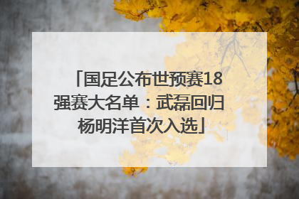 国足公布世预赛18强赛大名单：武磊回归 杨明洋首次入选