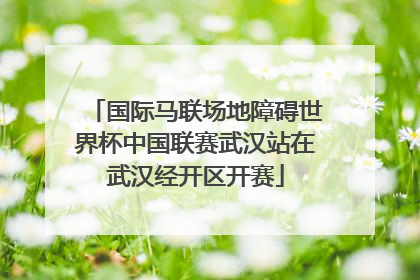 国际马联场地障碍世界杯中国联赛武汉站在武汉经开区开赛