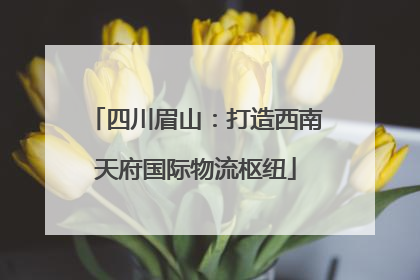 四川眉山：打造西南天府国际物流枢纽