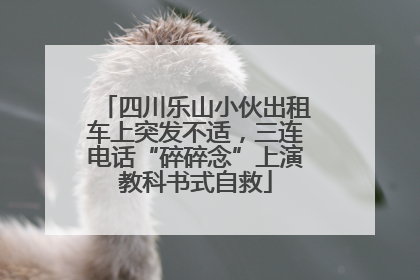 四川乐山小伙出租车上突发不适，三连电话“碎碎念”上演教科书式自救