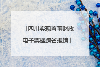 四川实现首笔财政电子票据跨省报销