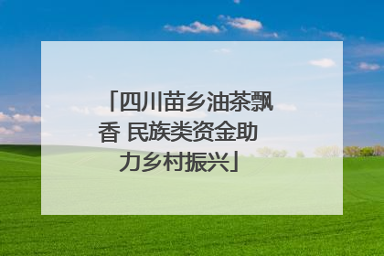四川苗乡油茶飘香 民族类资金助力乡村振兴