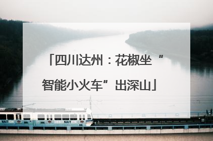 四川达州：花椒坐“智能小火车”出深山