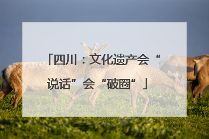 四川：文化遗产会“说话”会“破圈”