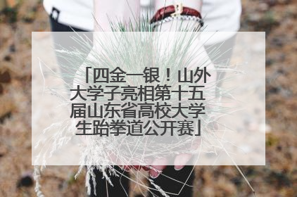四金一银！山外大学子亮相第十五届山东省高校大学生跆拳道公开赛