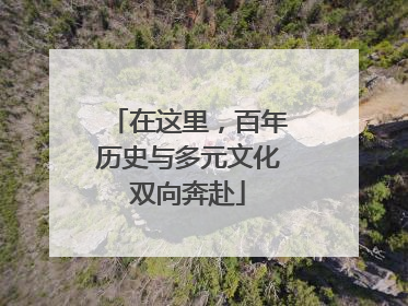 在这里，百年历史与多元文化双向奔赴