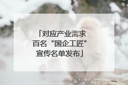 对应产业需求 百名“国企工匠”宣传名单发布