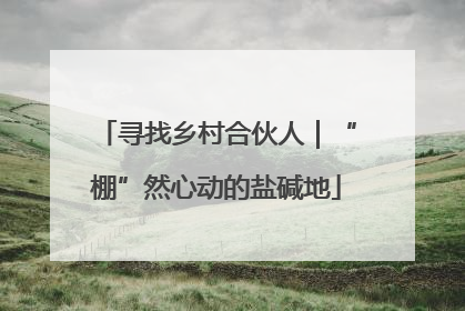寻找乡村合伙人｜“棚”然心动的盐碱地