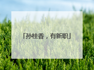 孙桂香，有新职