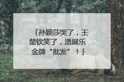 孙颖莎哭了，王楚钦笑了，潘展乐金牌“批发”！