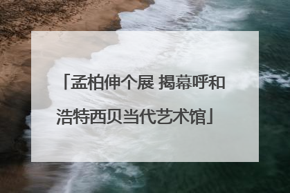 孟柏伸个展 揭幕呼和浩特西贝当代艺术馆