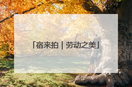 宿来拍｜劳动之美