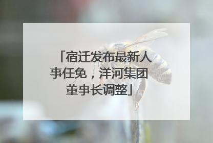 宿迁发布最新人事任免，洋河集团董事长调整