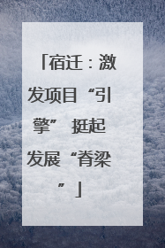 宿迁：激发项目“引擎” 挺起发展“脊梁”