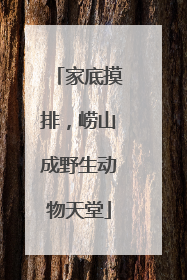 家底摸排，崂山成野生动物天堂