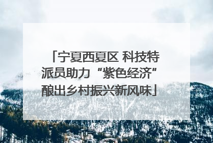 宁夏西夏区 科技特派员助力“紫色经济”酿出乡村振兴新风味