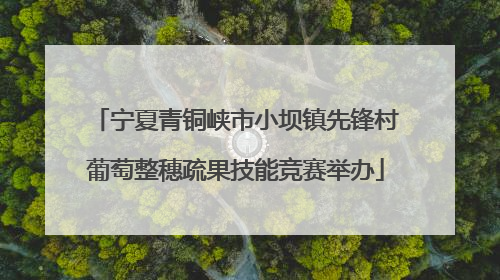 宁夏青铜峡市小坝镇先锋村葡萄整穗疏果技能竞赛举办