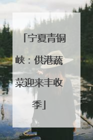 宁夏青铜峡：供港蔬菜迎来丰收季