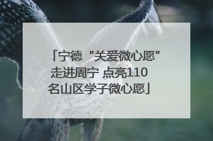 宁德“关爱微心愿”走进周宁 点亮110名山区学子微心愿