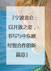 宁波北仑：以开放之姿，书写与中东欧经贸合作的新篇章