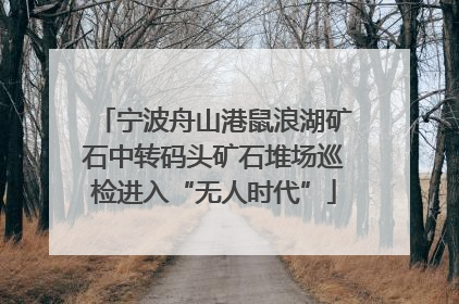 宁波舟山港鼠浪湖矿石中转码头矿石堆场巡检进入“无人时代”