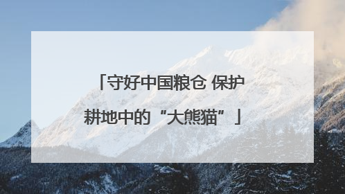 守好中国粮仓 保护耕地中的“大熊猫”