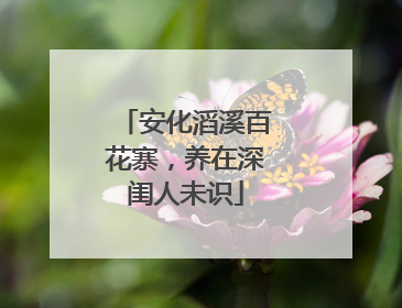 安化滔溪百花寨，养在深闺人未识