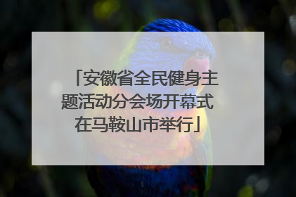 安徽省全民健身主题活动分会场开幕式在马鞍山市举行