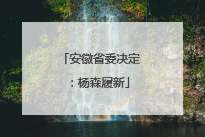 安徽省委决定：杨森履新