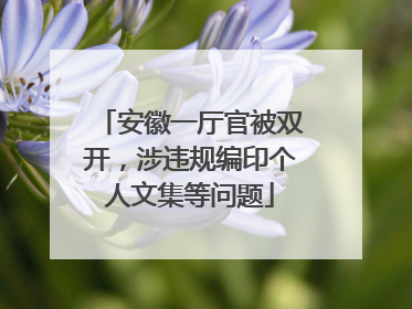 安徽一厅官被双开，涉违规编印个人文集等问题