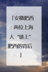 安徽肥西：两位上海人“链上”肥西的背后