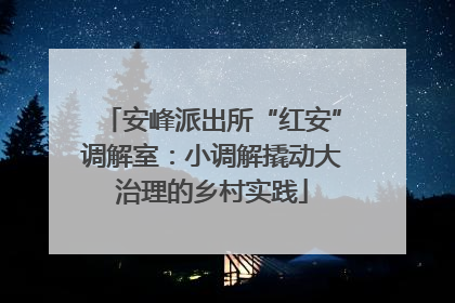 安峰派出所“红安”调解室：小调解撬动大治理的乡村实践