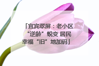 宜宾翠屏：老小区“逆龄”蜕变 居民幸福“旧”地加码