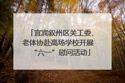 宜宾叙州区关工委、老体协赴高场学校开展“六一”慰问活动