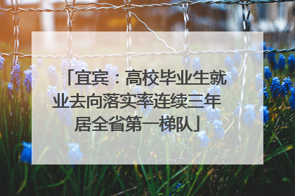 宜宾：高校毕业生就业去向落实率连续三年居全省第一梯队