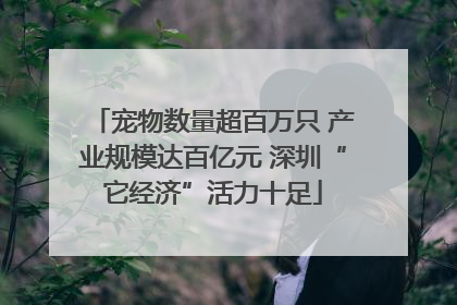 宠物数量超百万只 产业规模达百亿元 深圳“它经济”活力十足