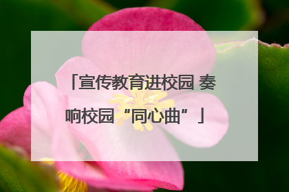 宣传教育进校园 奏响校园“同心曲”
