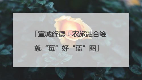 宣城旌德：农旅融合绘就“莓”好“蓝”图