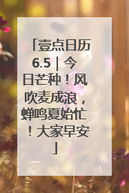 壹点日历6.5｜今日芒种！风吹麦成浪，蝉鸣夏始忙！大家早安
