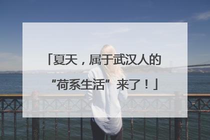 夏天，属于武汉人的“荷系生活”来了！