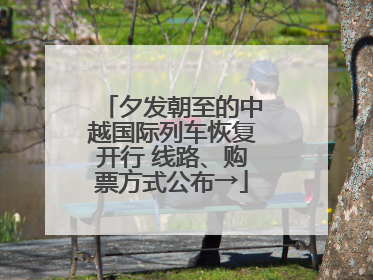 夕发朝至的中越国际列车恢复开行 线路、购票方式公布→
