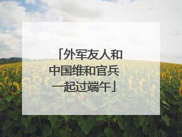 外军友人和中国维和官兵一起过端午