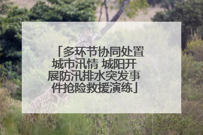 多环节协同处置城市汛情 城阳开展防汛排水突发事件抢险救援演练