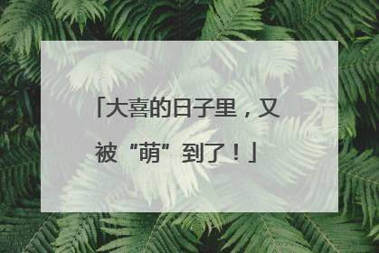 大喜的日子里，又被“萌”到了！