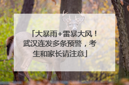 大暴雨+雷暴大风！武汉连发多条预警，考生和家长请注意