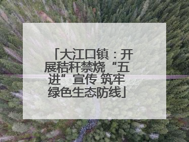 大江口镇：开展秸秆禁烧“五进”宣传 筑牢绿色生态防线