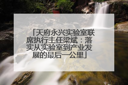 天府永兴实验室联席执行主任梁斌：落实从实验室到产业发展的最后一公里