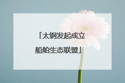 太钢发起成立船舶生态联盟